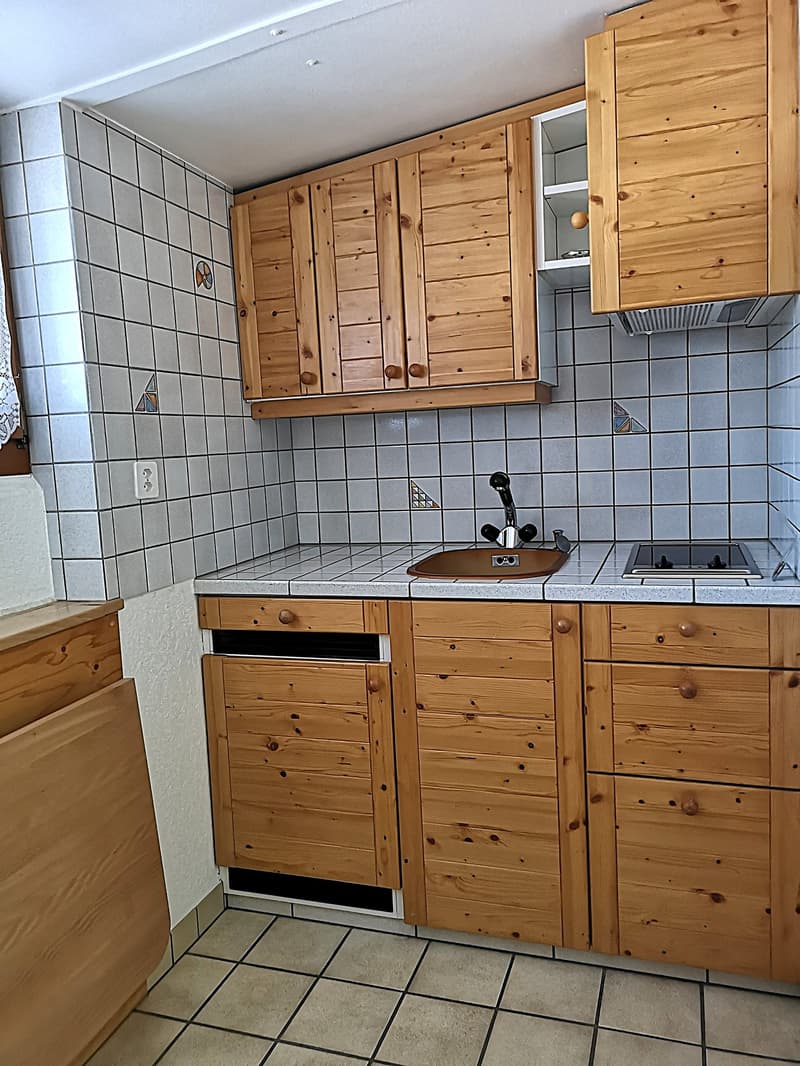 Baisse de prix : magnifique maison individuelle de 7 pièces à la Montagne de Moutier (1130m) (35)