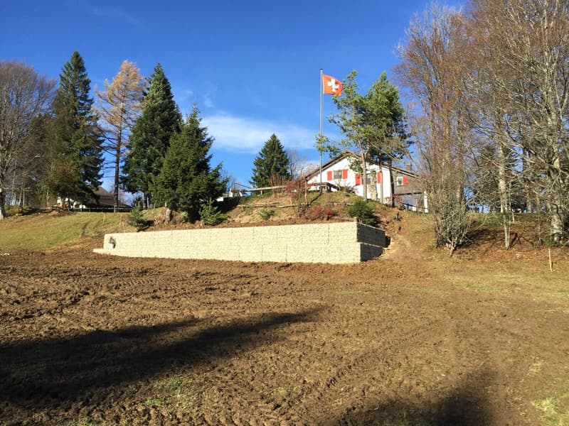 Baisse de prix : magnifique maison individuelle de 7 pièces à la Montagne de Moutier (1130m) (17)
