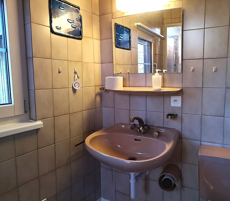 Baisse de prix : magnifique maison individuelle de 7 pièces à la Montagne de Moutier (1130m) (61)