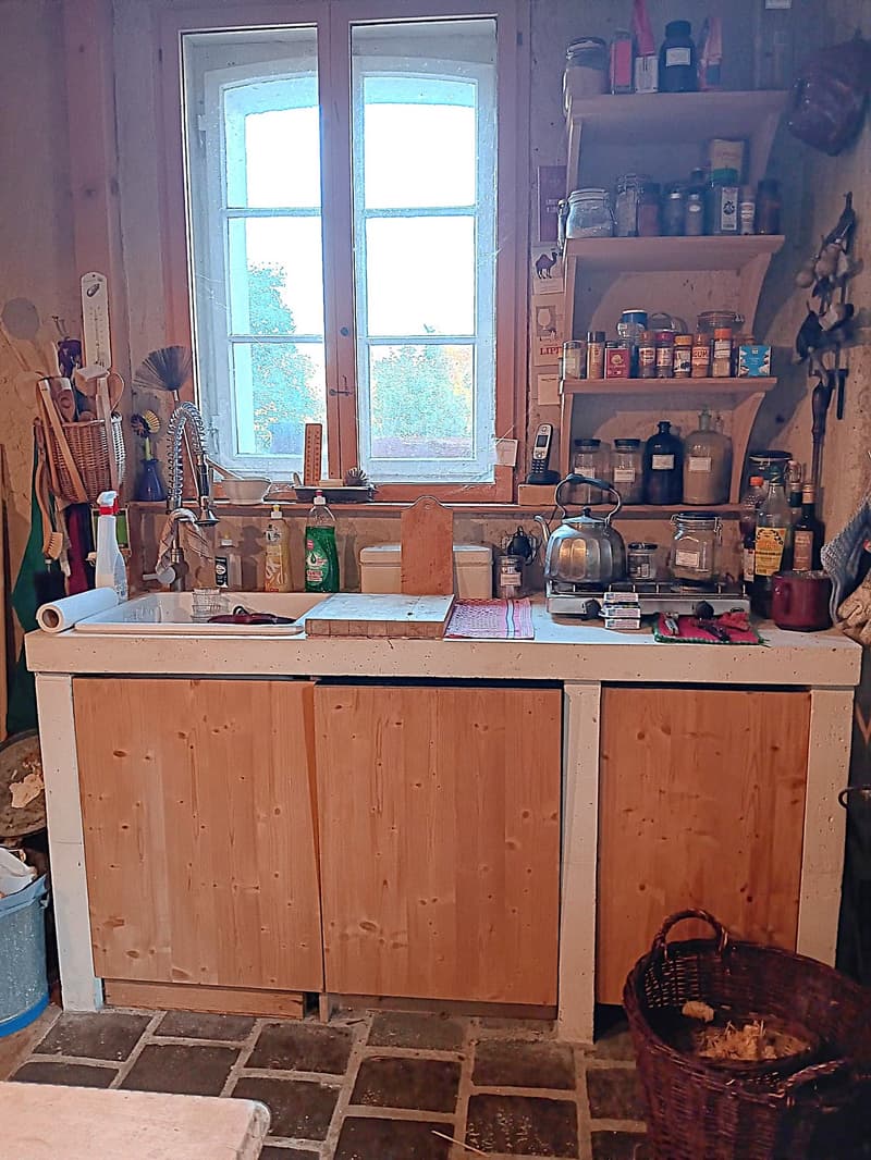 Maison multifonctionnelle avec 3 appartements, carnotzet et jardin (47)