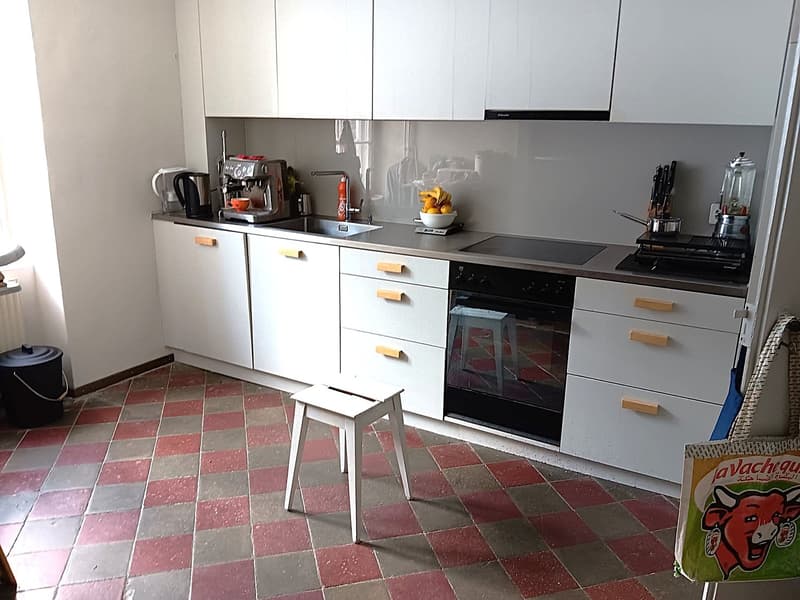 Maison multifonctionnelle avec 3 appartements, carnotzet et jardin (19)