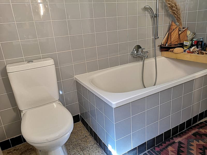 Maison multifonctionnelle avec 3 appartements, carnotzet et jardin (31)