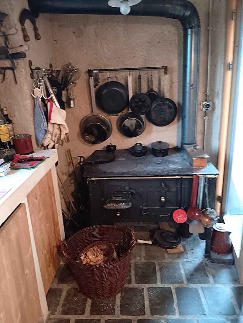 Maison multifonctionnelle avec 3 appartements, carnotzet et jardin (46)