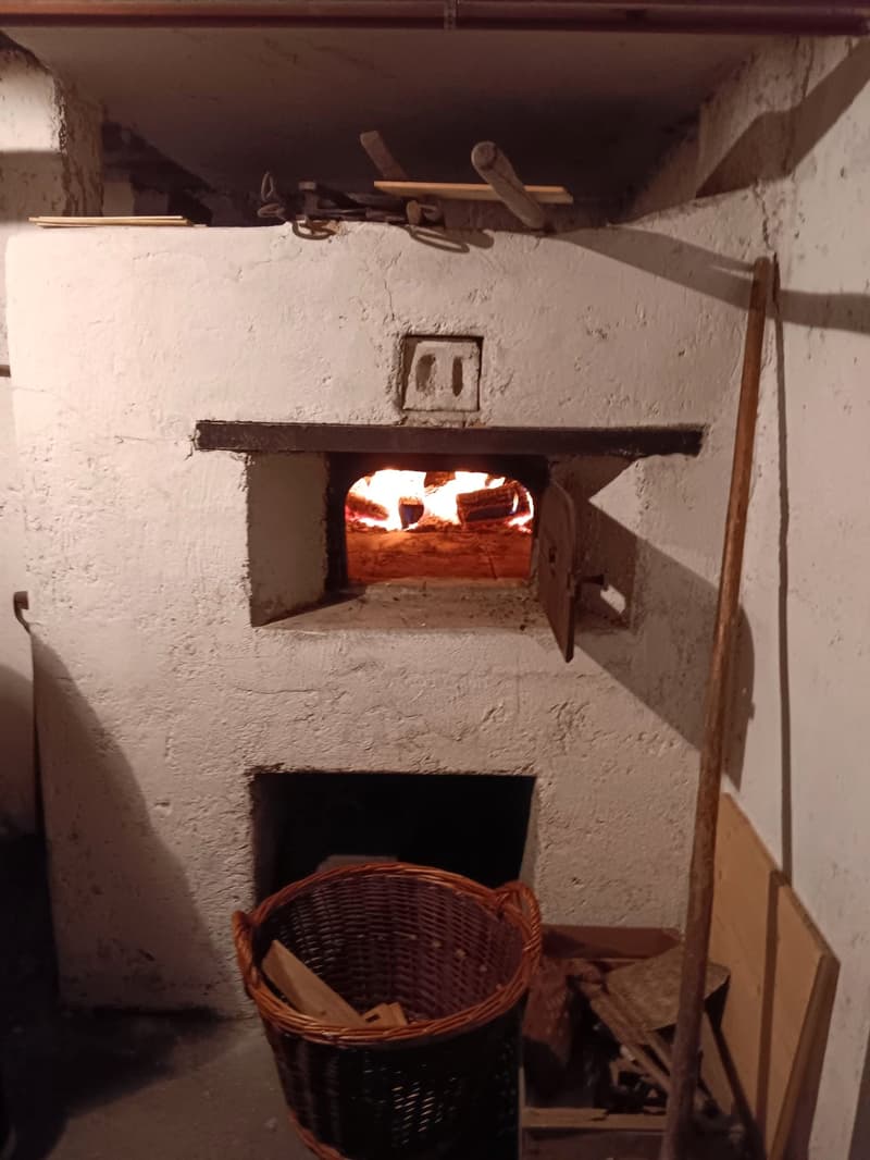 Maison multifonctionnelle avec 3 appartements, carnotzet et jardin (56)