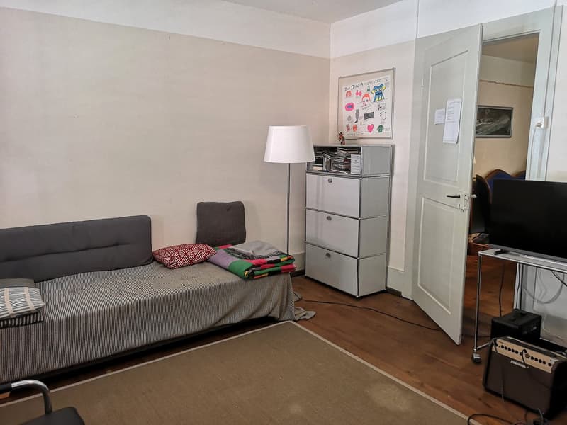 Maison multifonctionnelle avec 3 appartements, carnotzet et jardin (22)