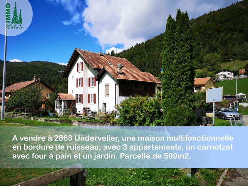 Maison multifonctionnelle avec 3 appartements, carnotzet et jardin (1)