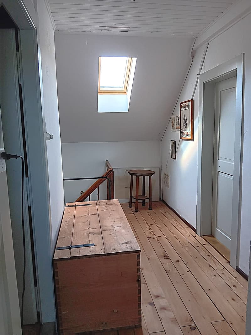 Maison multifonctionnelle avec 3 appartements, carnotzet et jardin (27)