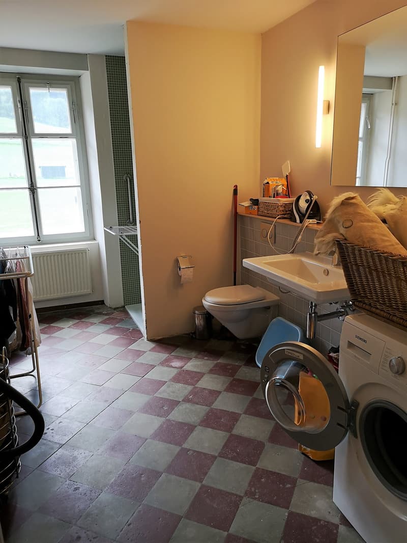 Maison multifonctionnelle avec 3 appartements, carnotzet et jardin (42)