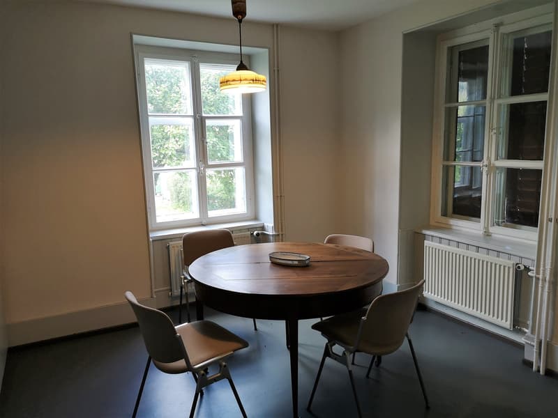Maison multifonctionnelle avec 3 appartements, carnotzet et jardin (37)