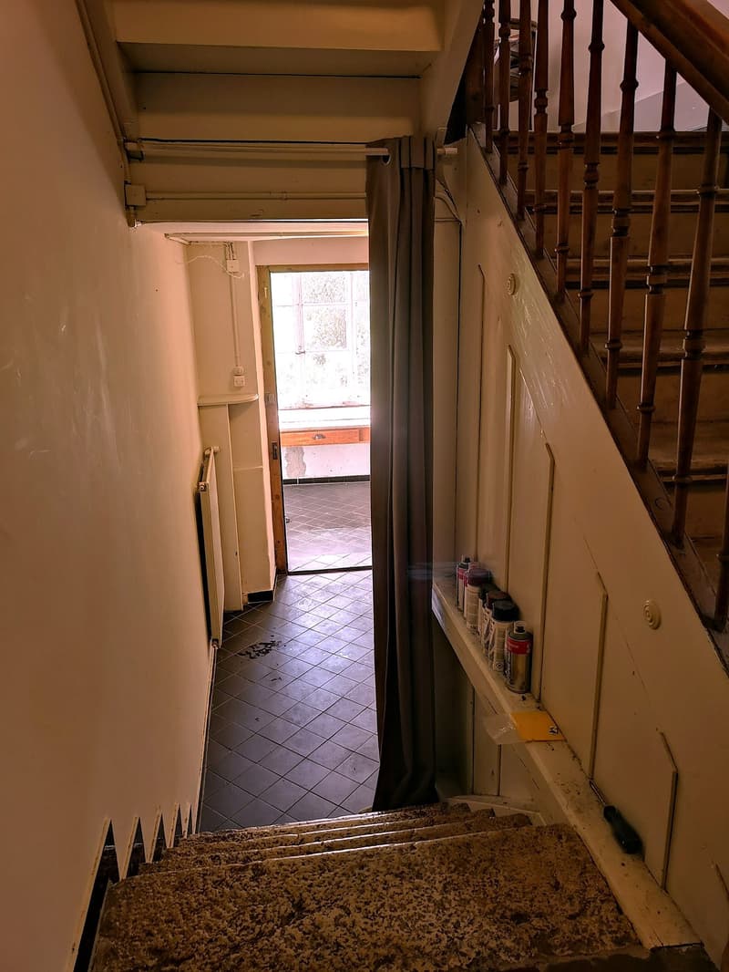 Maison multifonctionnelle avec 3 appartements, carnotzet et jardin (13)