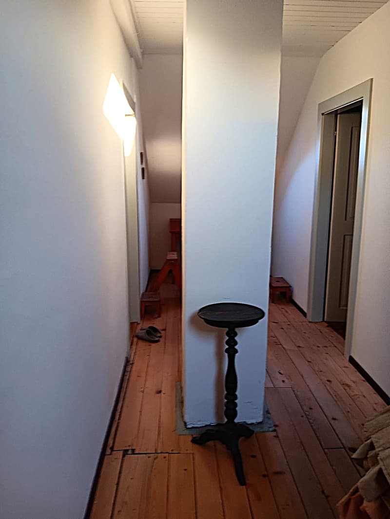Maison multifonctionnelle avec 3 appartements, carnotzet et jardin (28)
