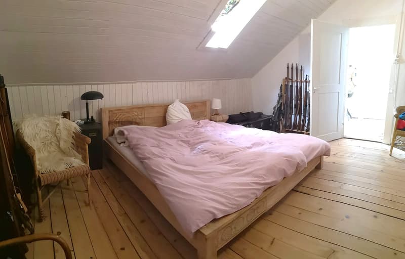 Maison multifonctionnelle avec 3 appartements, carnotzet et jardin (33)