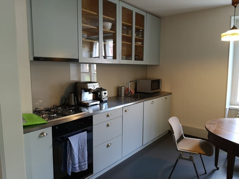 Maison multifonctionnelle avec 3 appartements, carnotzet et jardin (36)