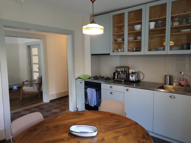 Maison multifonctionnelle avec 3 appartements, carnotzet et jardin (35)