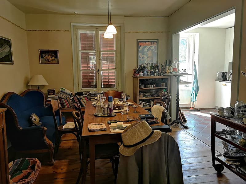 Maison multifonctionnelle avec 3 appartements, carnotzet et jardin (17)