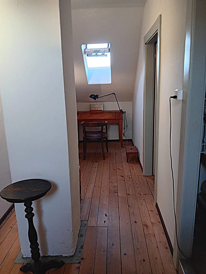 Maison multifonctionnelle avec 3 appartements, carnotzet et jardin (29)