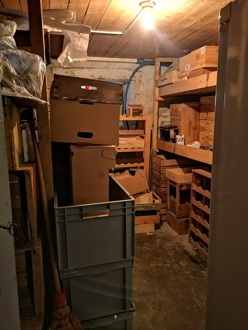 Maison multifonctionnelle avec 3 appartements, carnotzet et jardin (58)