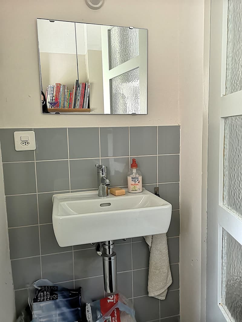 Maison multifonctionnelle avec 3 appartements, carnotzet et jardin (25)