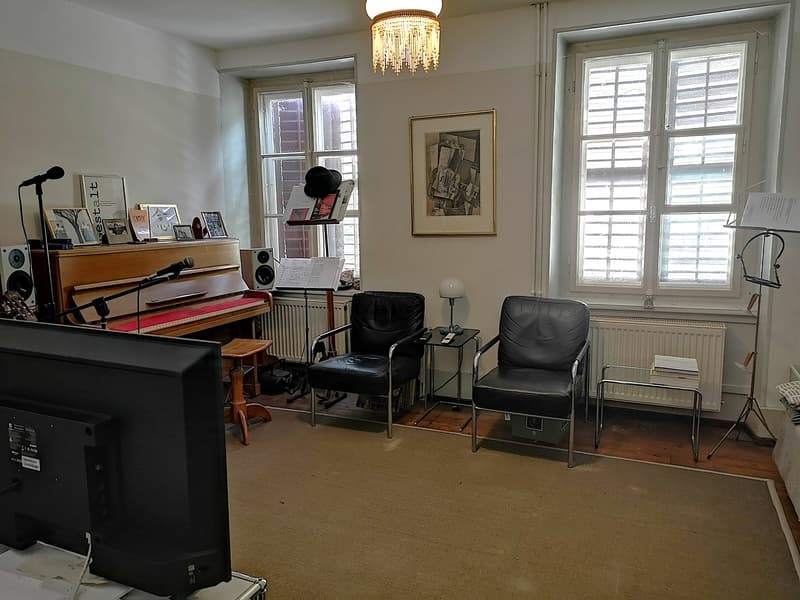 Maison multifonctionnelle avec 3 appartements, carnotzet et jardin (21)
