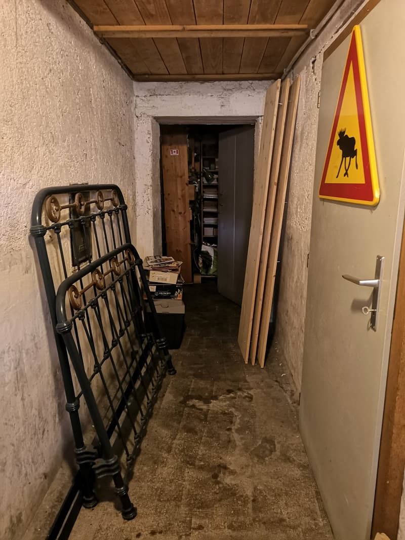 Maison multifonctionnelle avec 3 appartements, carnotzet et jardin (53)