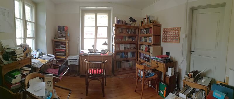 Maison multifonctionnelle avec 3 appartements, carnotzet et jardin (15)