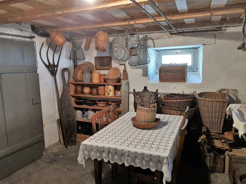 Maison multifonctionnelle avec 3 appartements, carnotzet et jardin (54)