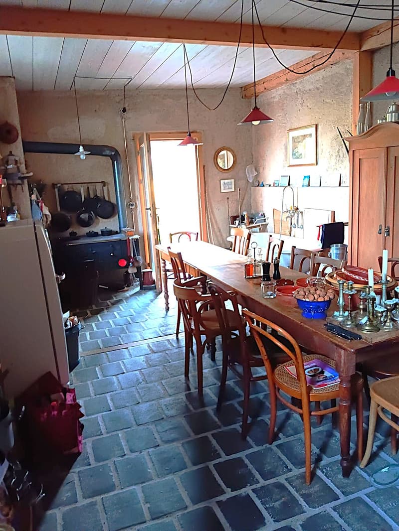 Maison multifonctionnelle avec 3 appartements, carnotzet et jardin (45)