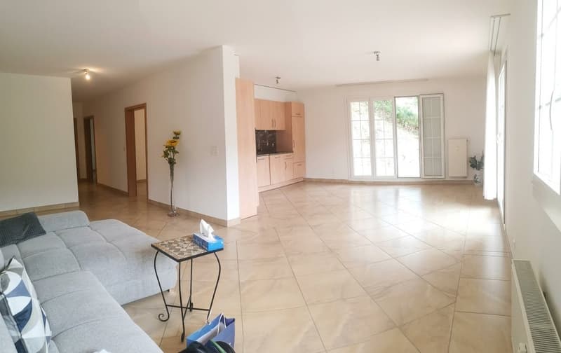 Spacieux appartement de 5.5 pièces à vendre à Soyhières avec grand balcon de 35m2 (16)