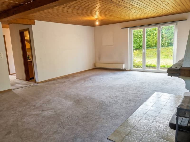 Jolie maison dans quartier résidentiel, avec garage + carport + place de parc, libre de suite. (22)