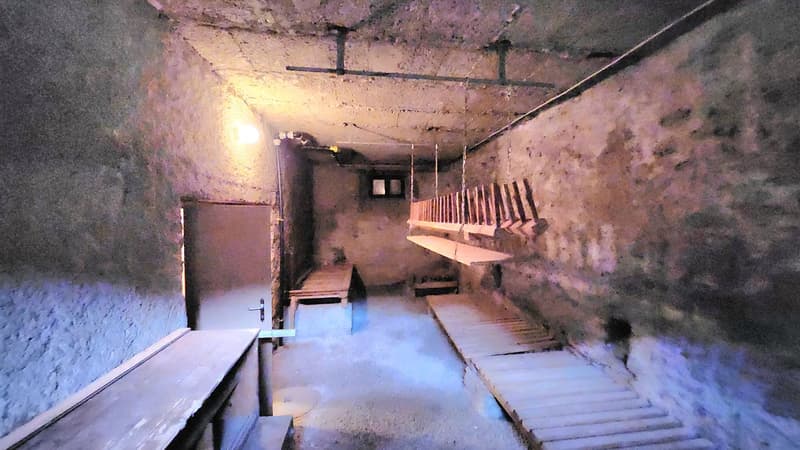 Maison villageoise à Grimisuat avec possibilité de faire deux ou trois appatements (16)