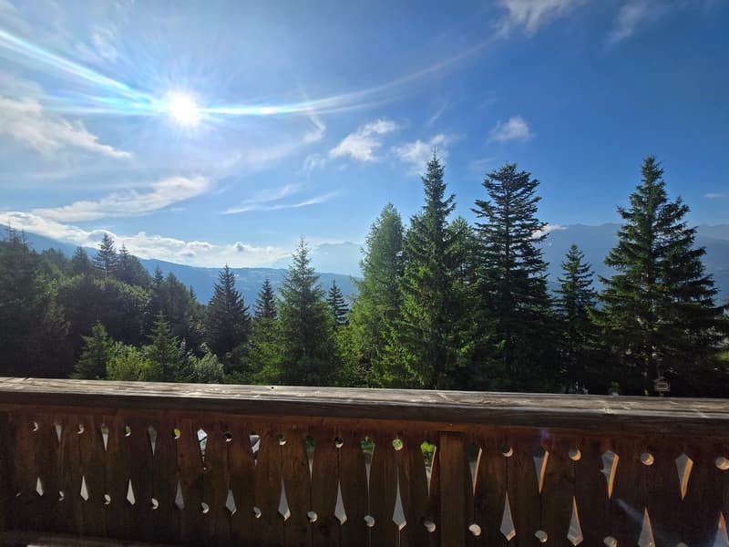 Magnifique chalet de luxe à Anzère (8)
