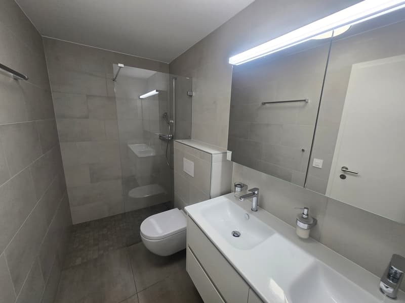 Villa contemporaine dans un quartier calme de Grimisuat (21)