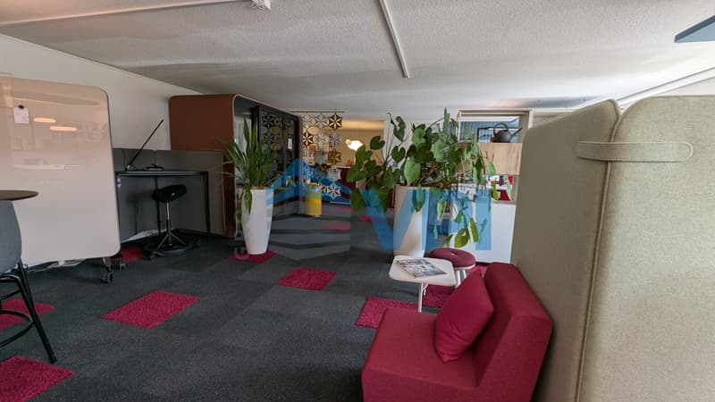 Mont-sur-Lausanne - Beau bureau de 486m2 avec quai de déchargement (5)