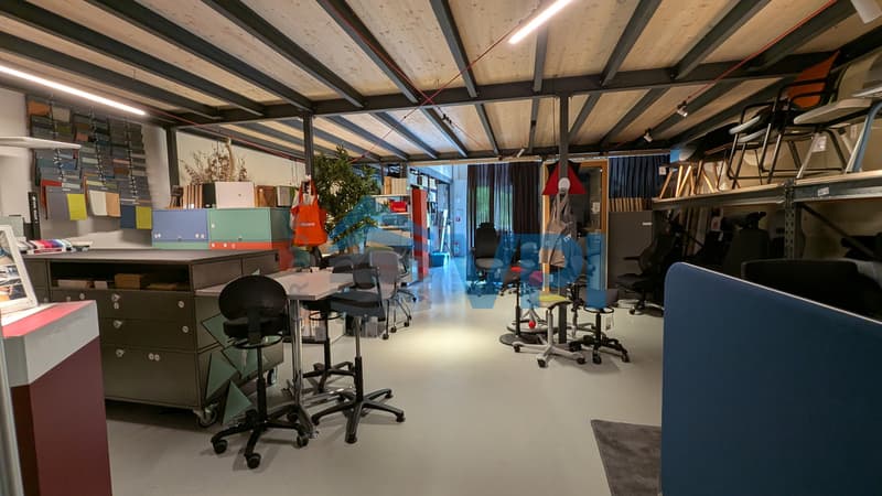 Mont-sur-Lausanne - Beau bureau de 486m2 avec quai de déchargement (6)