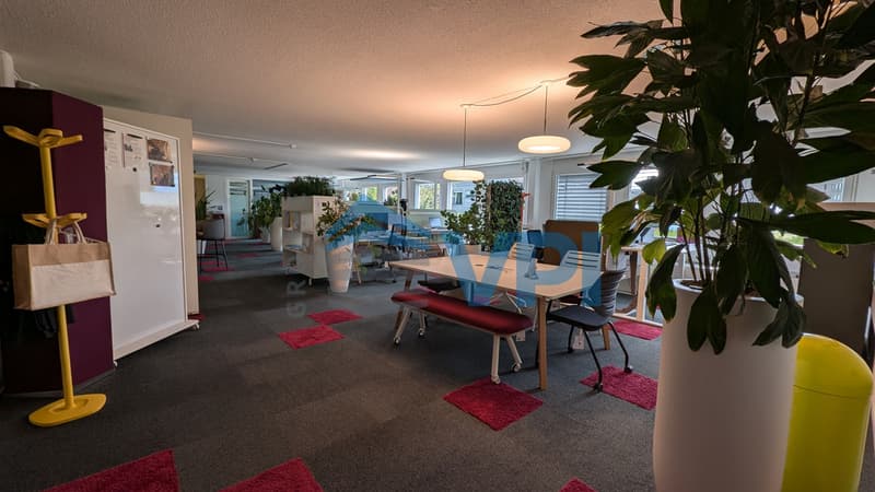 Mont-sur-Lausanne - Beau bureau de 486m2 avec quai de déchargement (4)