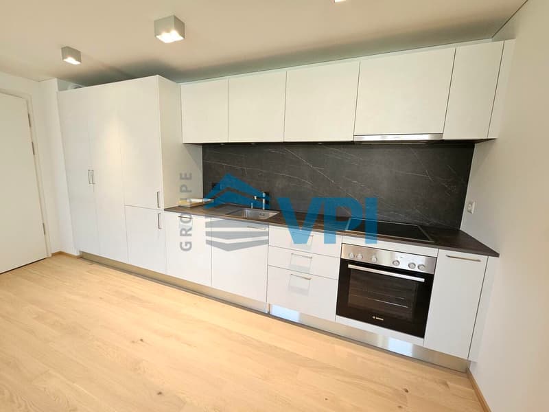 Splendide appartement neuf de 2 pièces mezzanine (3)