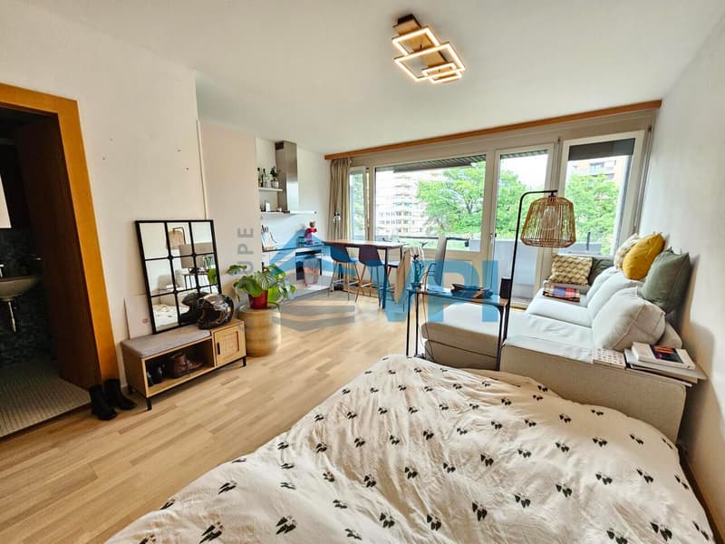Studio au coeur de Champel (9)