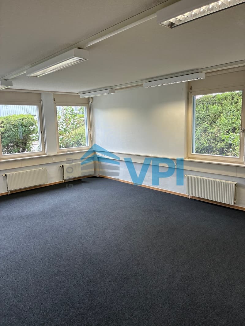 Mont-sur-Lausanne - Bureau lumineux de 169 m² au rez (12)