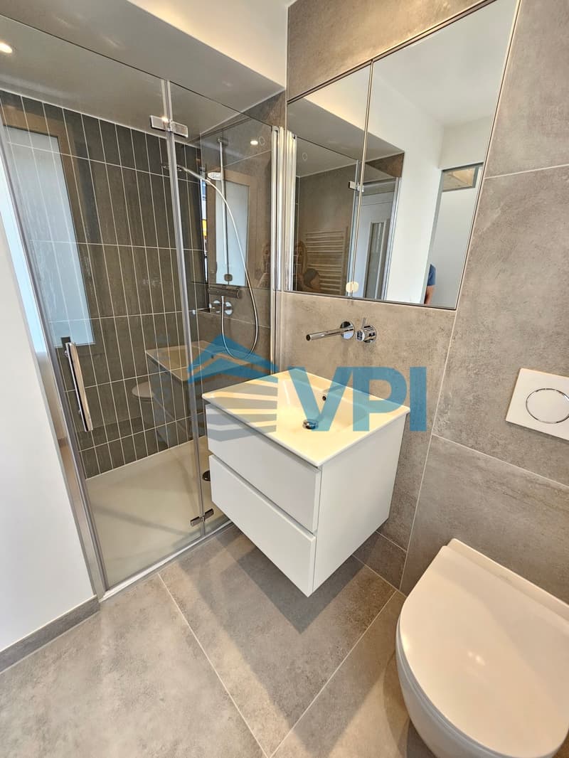 Magnifique 1.5 pièces duplex situé à Plan-les-Ouates (6)