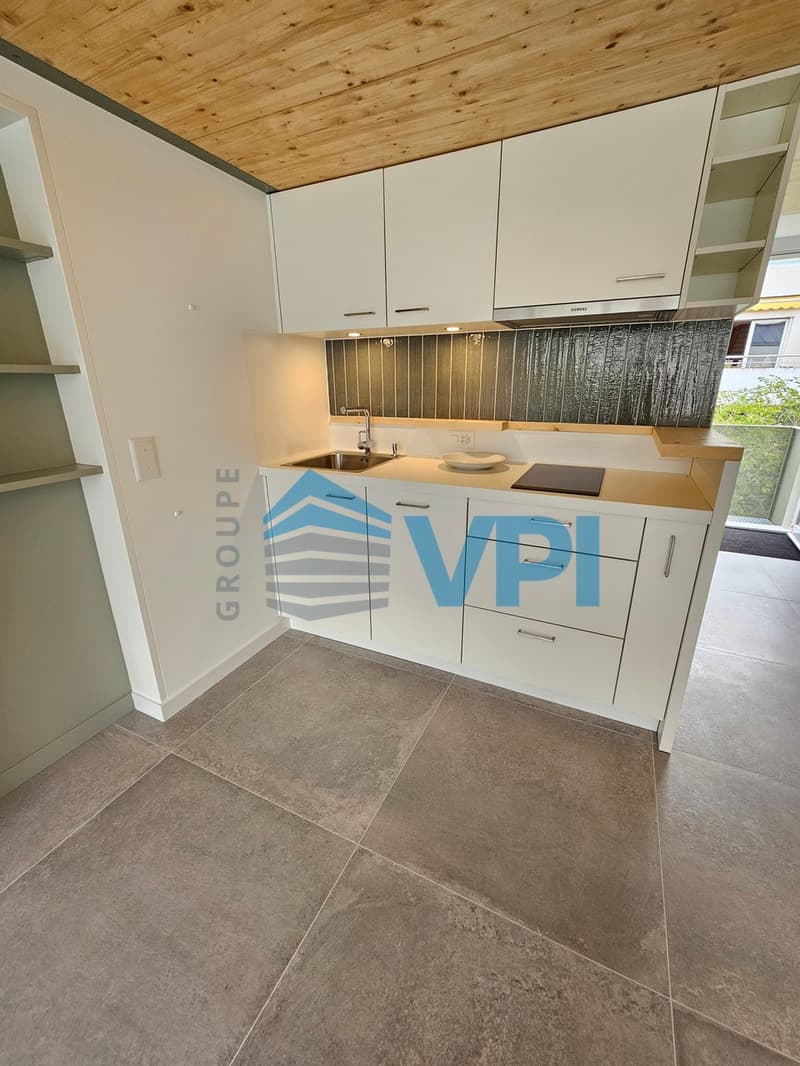 Magnifique 1.5 pièces duplex situé à Plan-les-Ouates (9)