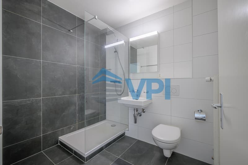 Appartement 4.5 pièces (4)
