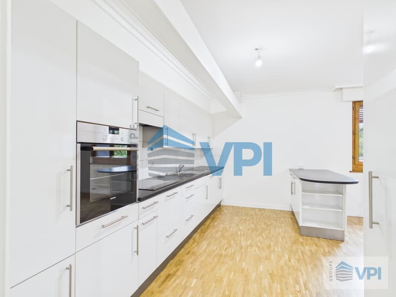 Appartement de 7 pièces à Plainpalais (3)