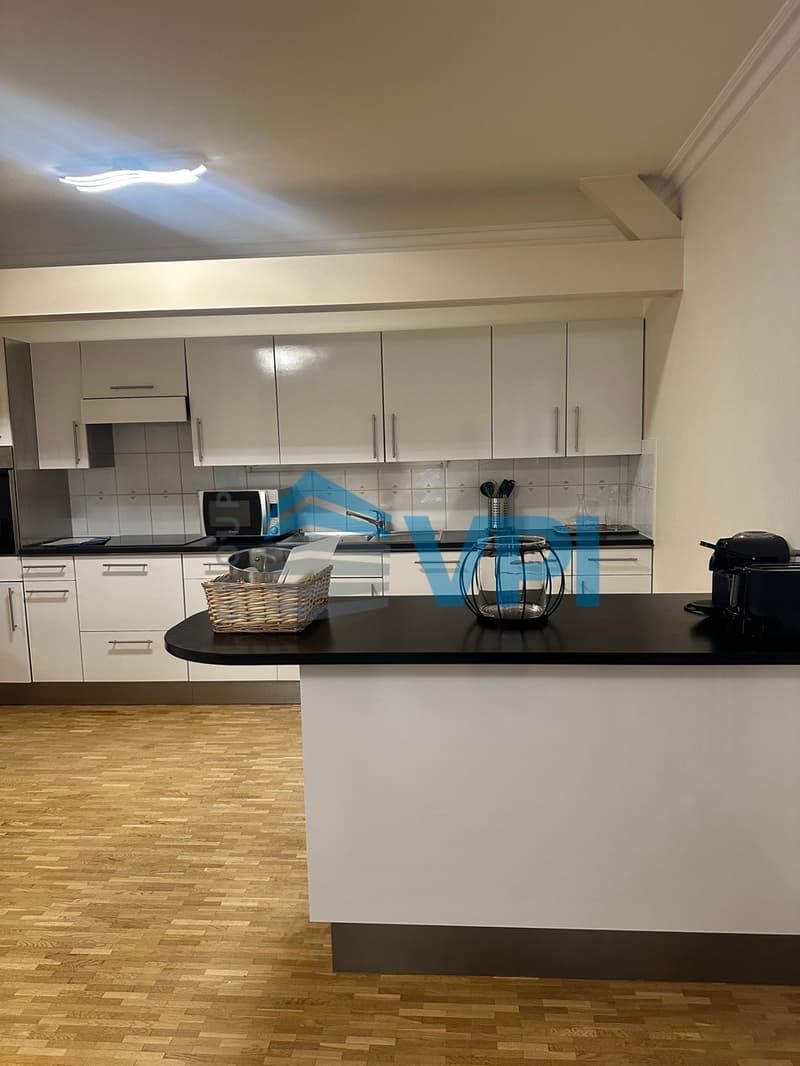 Appartement de 7 pièces à Plainpalais (4)