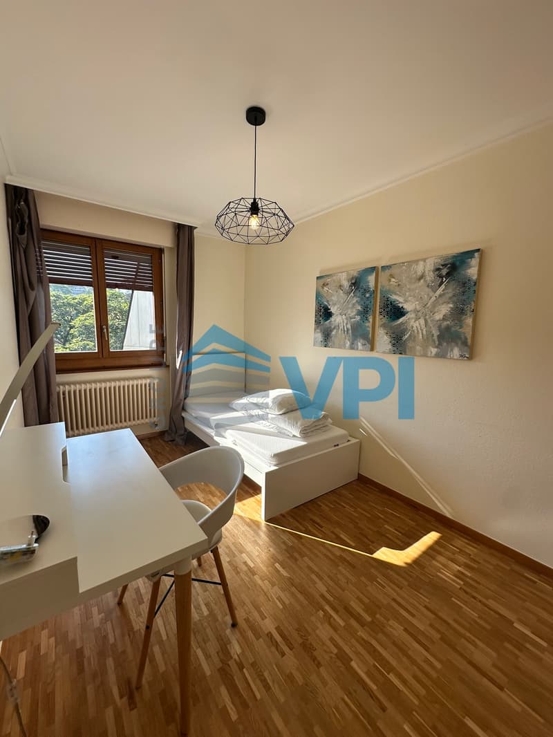 Appartement de 7 pièces à Plainpalais (7)