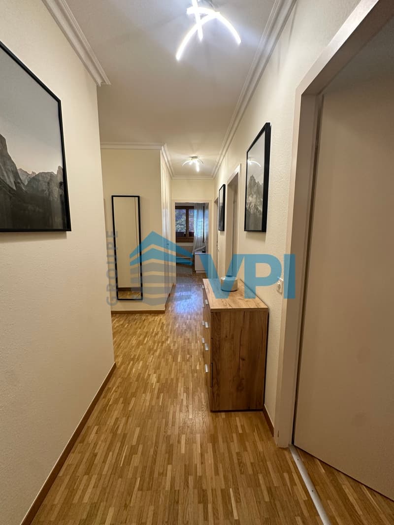 Appartement de 7 pièces à Plainpalais (9)