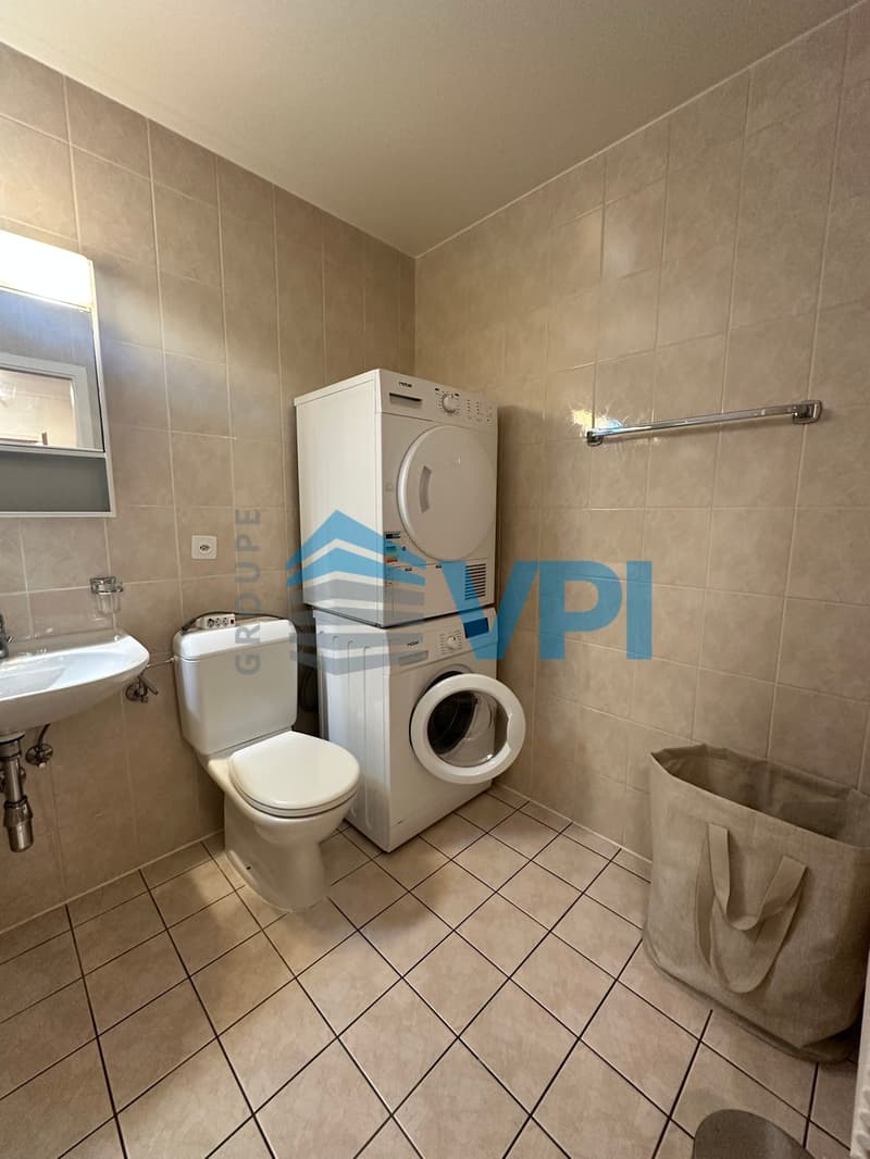 Appartement de 7 pièces à Plainpalais (10)