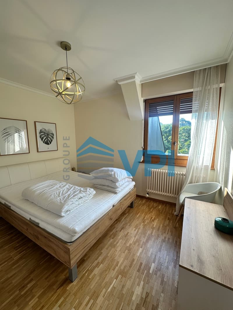 Appartement de 7 pièces à Plainpalais (6)