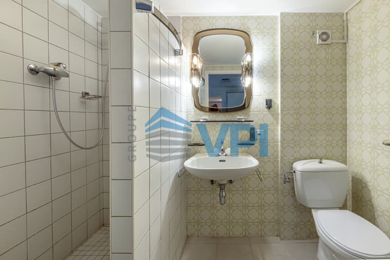Villa mitoyenne à Plan-les-Ouates (11)