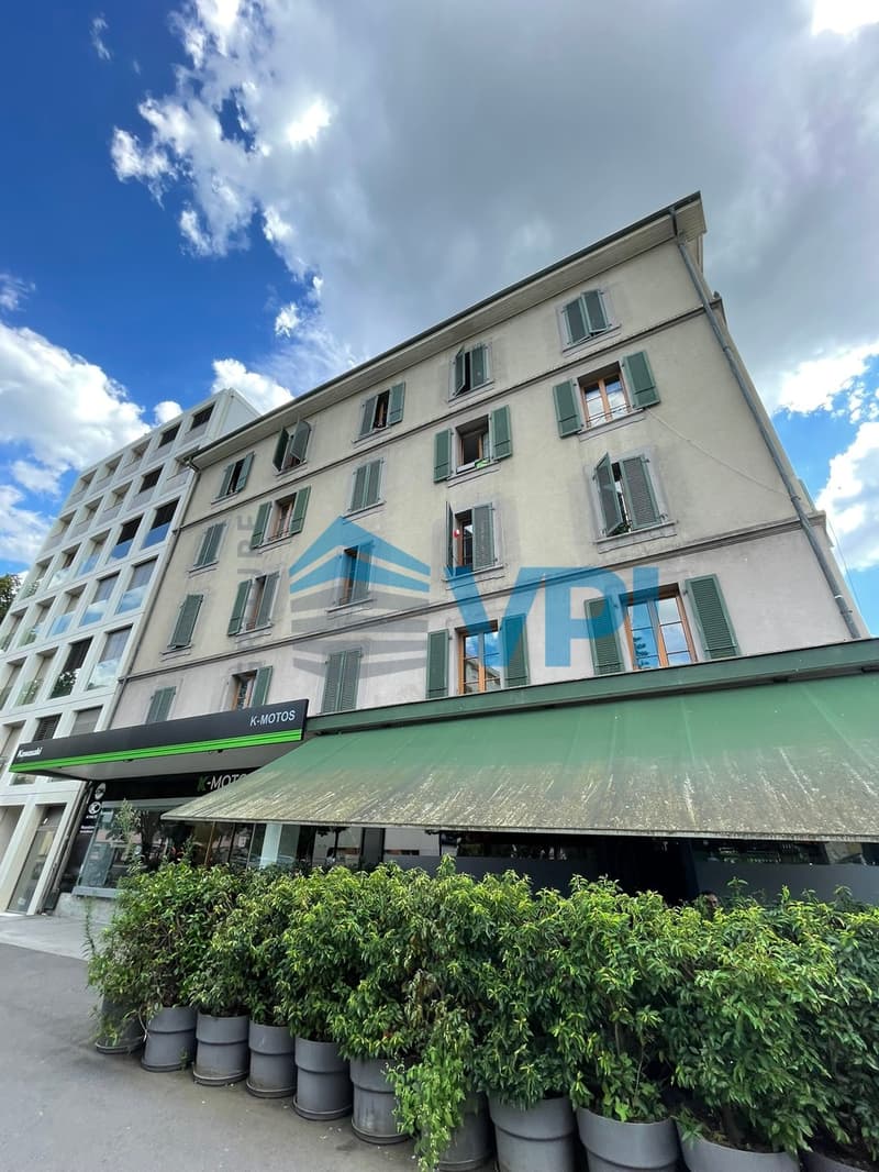 Appartement de 2 pièces à Carouge (4)
