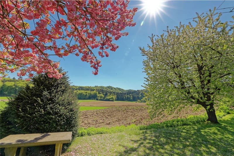 4½-Zimmer Doppeleinfamilienhaus mit Weitsicht ins Grüne (2)